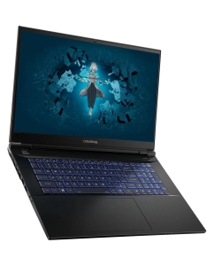 Купить Ноутбук Colorful EVOL X17 PRO MAX-HQ99B3202TE-G-RU-KA черный (A10205400063)  в E-mobi