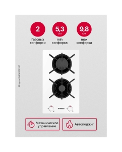 Купить Встраиваемая варочная панель газовая Hansa BHKW330300 белый  в E-mobi