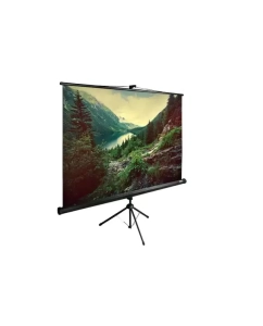 Купить Экран для проектора CACTUS TriExpert CS-PSTE-220x220-BK (стационарный, 1:1, 122&quot;)  в E-mobi