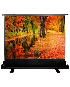 Купить Экран для видеопроектора Cactus FloorExpert CS-PSFLE-200X150  в E-mobi