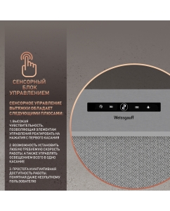 Купить Вытяжка встраиваемая Weissgauff BOX 1200 IX Silver  в E-mobi