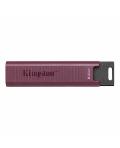Купить Флешка Kingston DataTraveler Max 512 ГБ черный (dtmaxa/512gb)  в E-mobi