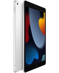 Купить Планшет Apple iPad 10.2 64GB Wifi Silver MK2L3LL/A  в E-mobi