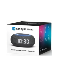 Купить Умная колонка VK Капсула Мини Dark Grey  в E-mobi