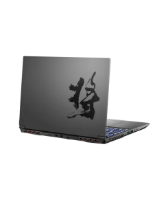 Купить Ноутбук Colorful Evol X17 AT 23H1 черный (A10205400044)  в E-mobi