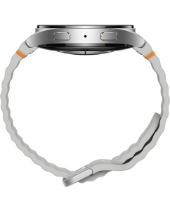 Купить Смарт-часы Samsung SM-L315FZSACAU  в E-mobi