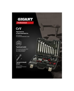 Купить Набор инструментов Gigant Professional 1/2&quot; и 1/4&quot; 82 предмета, сталь Cr-V GPS 82  в E-mobi