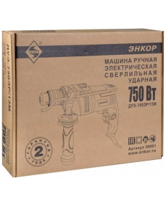 Купить Ударная дрель Энкор ДУЭ-750ЭР/13М 50081  в E-mobi