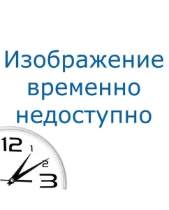 Купить Пароочиститель Bort BDR-2500-RR-Iron белый  в E-mobi