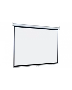 Купить Экран для проектора Lumien Eco Picture LEP-100116  в E-mobi