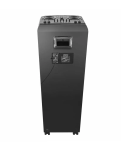 Купить Музыкальный центр Ginzzu GM-204 Black  в E-mobi