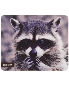 Купить Коврик DEXP OM-XS Racoon  разноцветный  в E-mobi