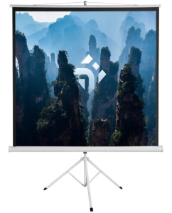 Купить 119&quot; Экран для проектора DEXP TM-80  в E-mobi