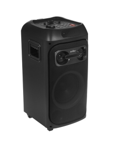 Купить Портативная аудиосистема Aceline LP-V150, черный  в E-mobi