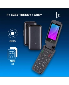 Купить Мобильный телефон F+ Ezzy Trendy 1 Grey  в E-mobi