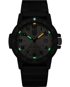 Купить Швейцарские наручные часы Luminox XS.0325.GP  в E-mobi