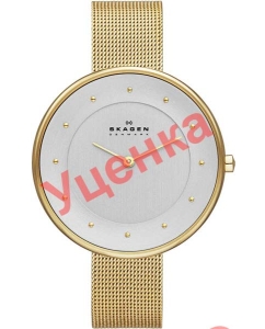 Купить Наручные часы Skagen SKW2141-ucenka  в E-mobi