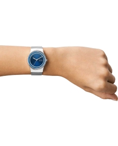 Купить Наручные часы Skagen SKW3024  в E-mobi