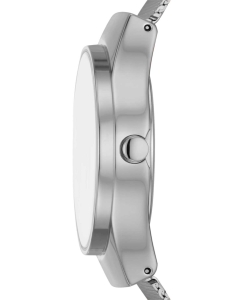 Купить Наручные часы Skagen SKW3024  в E-mobi