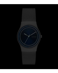 Купить Наручные часы Skagen SKW3024  в E-mobi
