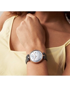 Купить Наручные часы Skagen SKW2981  в E-mobi