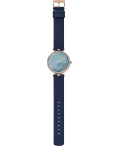 Купить Наручные часы Skagen SKW2981  в E-mobi