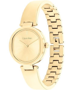 Купить Наручные часы Calvin Klein 25200309  в E-mobi
