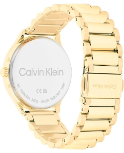 Купить Наручные часы Calvin Klein 25200371  в E-mobi