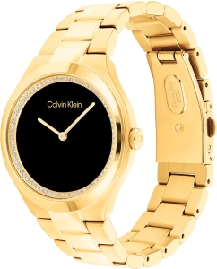 Купить Наручные часы Calvin Klein 25200367  в E-mobi