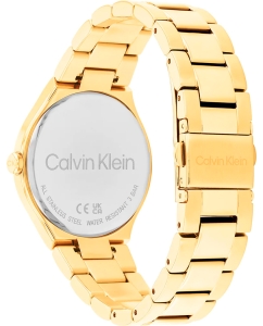 Купить Наручные часы Calvin Klein 25200367  в E-mobi