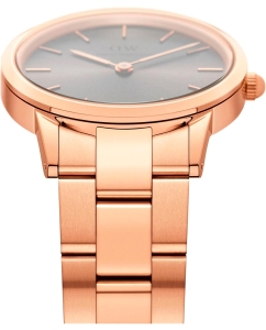 Купить Наручные часы Daniel Wellington Iconic Link 28 RG Grey  в E-mobi