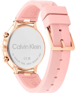 Купить Наручные часы Calvin Klein 25200243  в E-mobi