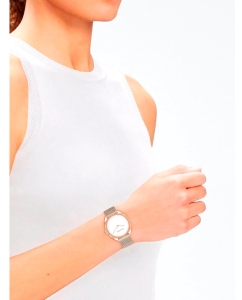 Купить Наручные часы Calvin Klein 25200270  в E-mobi