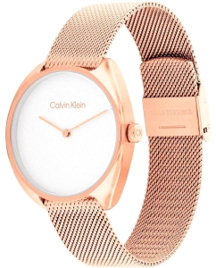 Купить Наручные часы Calvin Klein 25200270  в E-mobi