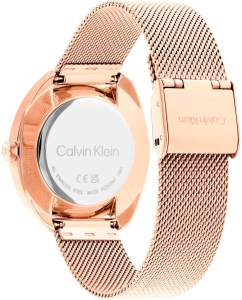 Купить Наручные часы Calvin Klein 25200270  в E-mobi