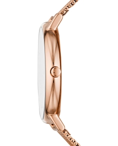 Купить Наручные часы Skagen SKW2784  в E-mobi