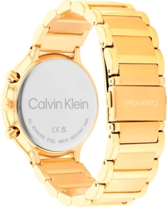 Купить Наручные часы Calvin Klein 25200240  в E-mobi
