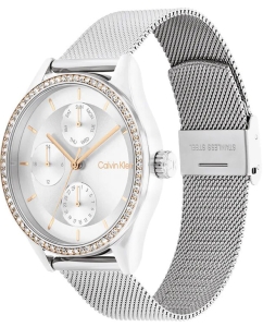 Купить Наручные часы Calvin Klein 25100010  в E-mobi