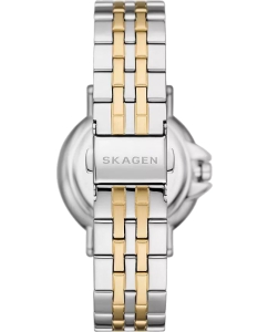 Купить Наручные часы Skagen SKW3137  в E-mobi
