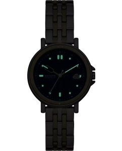 Купить Наручные часы Skagen SKW3137  в E-mobi