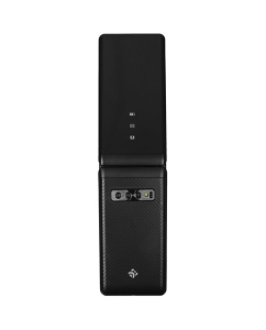 Купить Сотовый телефон DEXP SLR10 черный  в E-mobi