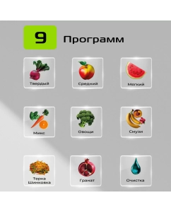 Купить Соковыжималка шнековая RED SOLUTION J950 580 Вт серый  в E-mobi