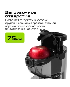 Купить Соковыжималка шнековая RED SOLUTION J950 580 Вт серый  в E-mobi