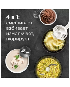 Купить Погружной блендер Red Solution RHB-2994  в E-mobi