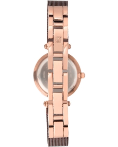 Купить Наручные часы Anne Klein 3003RGBN  в E-mobi