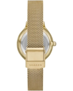 Купить Наручные часы Skagen SKW3145  в E-mobi