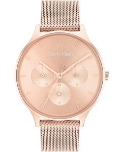 Купить Наручные часы Calvin Klein 25200102  в E-mobi