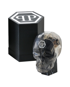 Купить Наручные часы Philipp Plein PWPZA0324  в E-mobi