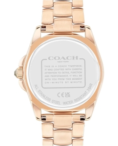 Купить Наручные часы COACH 14504275  в E-mobi