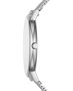 Купить Титановые наручные часы Skagen SKW6483  в E-mobi